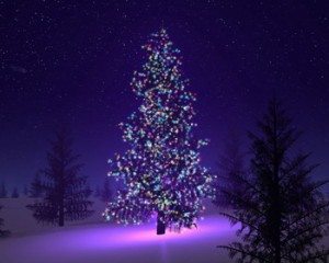 christmas tree image