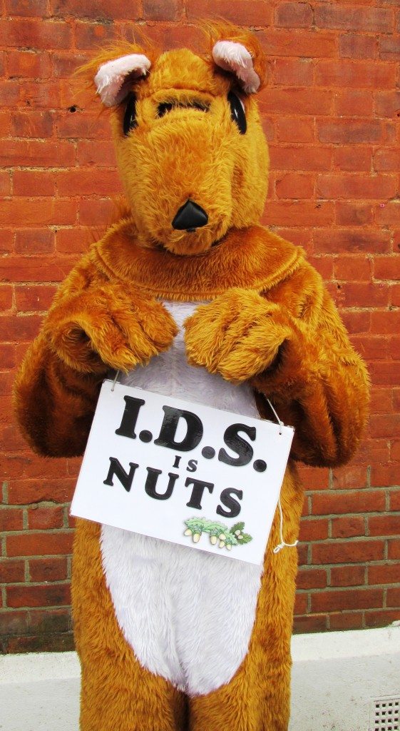 Ziggy the squirrel on the IDS chingford protest as part of DPAC revenge tour Ziggy the squirrel is holding a placard which says IDS is nuts.