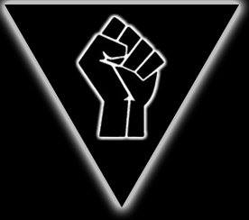 Black Triangle Campaign Logo